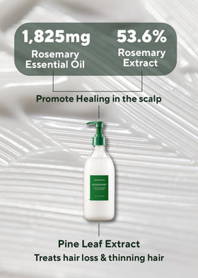 AROMATICA product next to babassu and moringa oils showing nourishing botanicals benefit: deep hydration