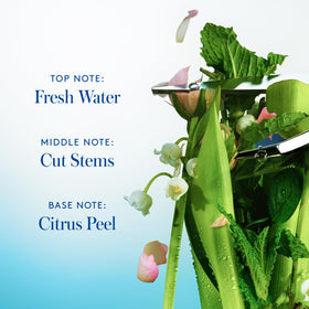 Athena Club applying clear deo to underarm for long-lasting freshness