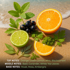 Atralia arranged ingredients: lemon, mint, tea leaves showing natural notes and crafted blend benefit