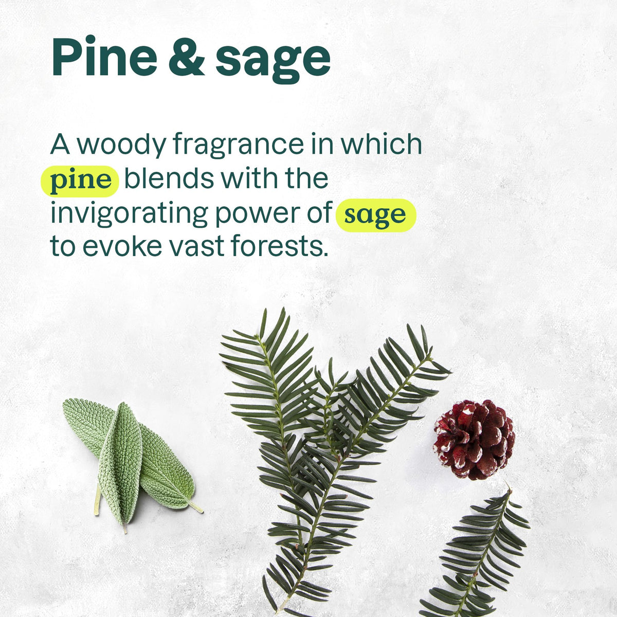 BIO SPECTRA ATTITUDE label detail highlighting EWG Verified mark and ingredient transparency benefit