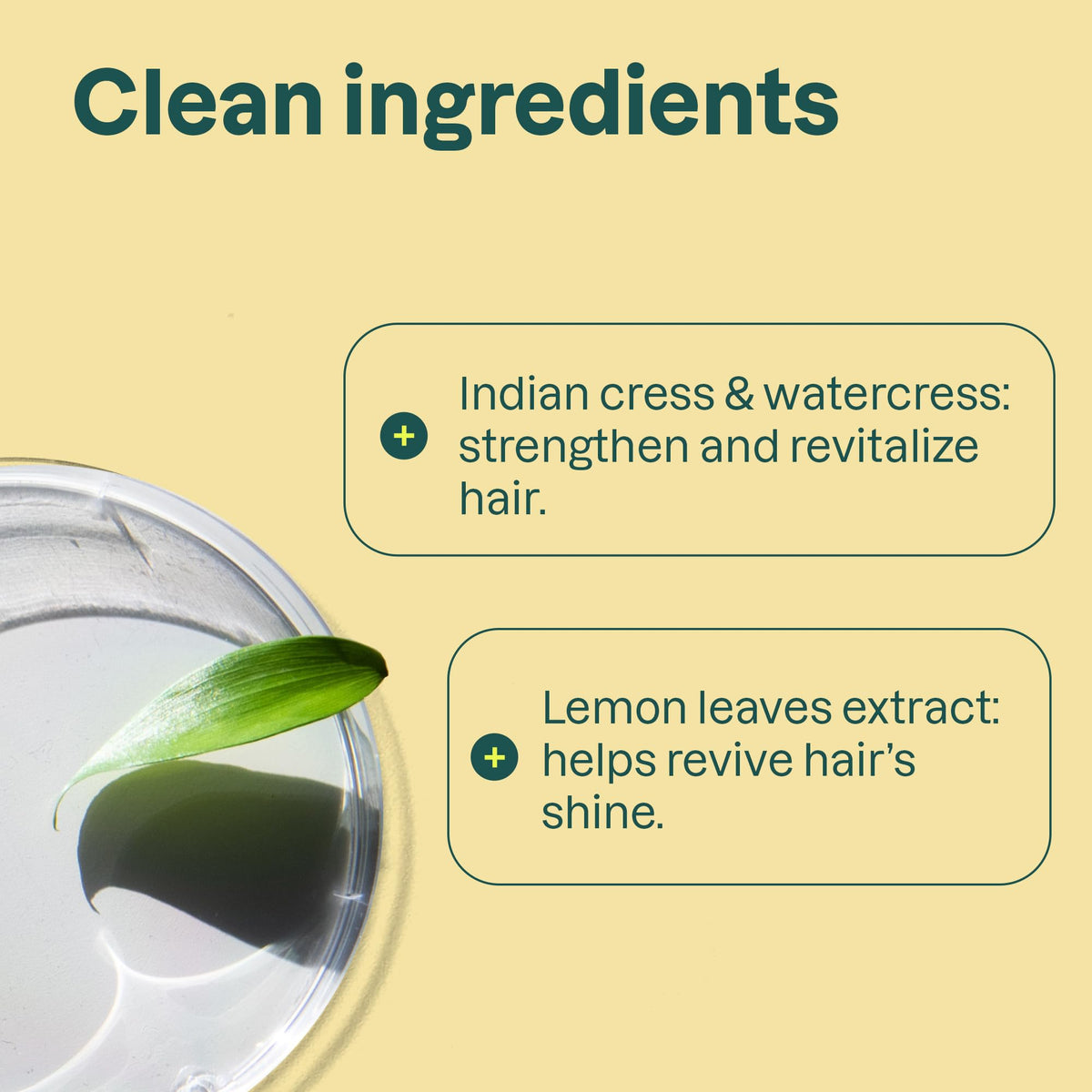 BIO SPECTRA ATTITUDE conditioner applied to hair in hand demonstrating smoothening benefit