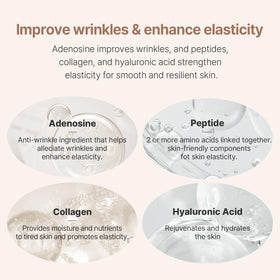 AVCA magnified active layer image highlighting peptides and hyaluronic aid for elasticity