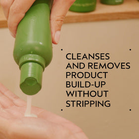 Aveda be curly shampoo lather texture demonstrating gentle, moisturizing cleanse benefit