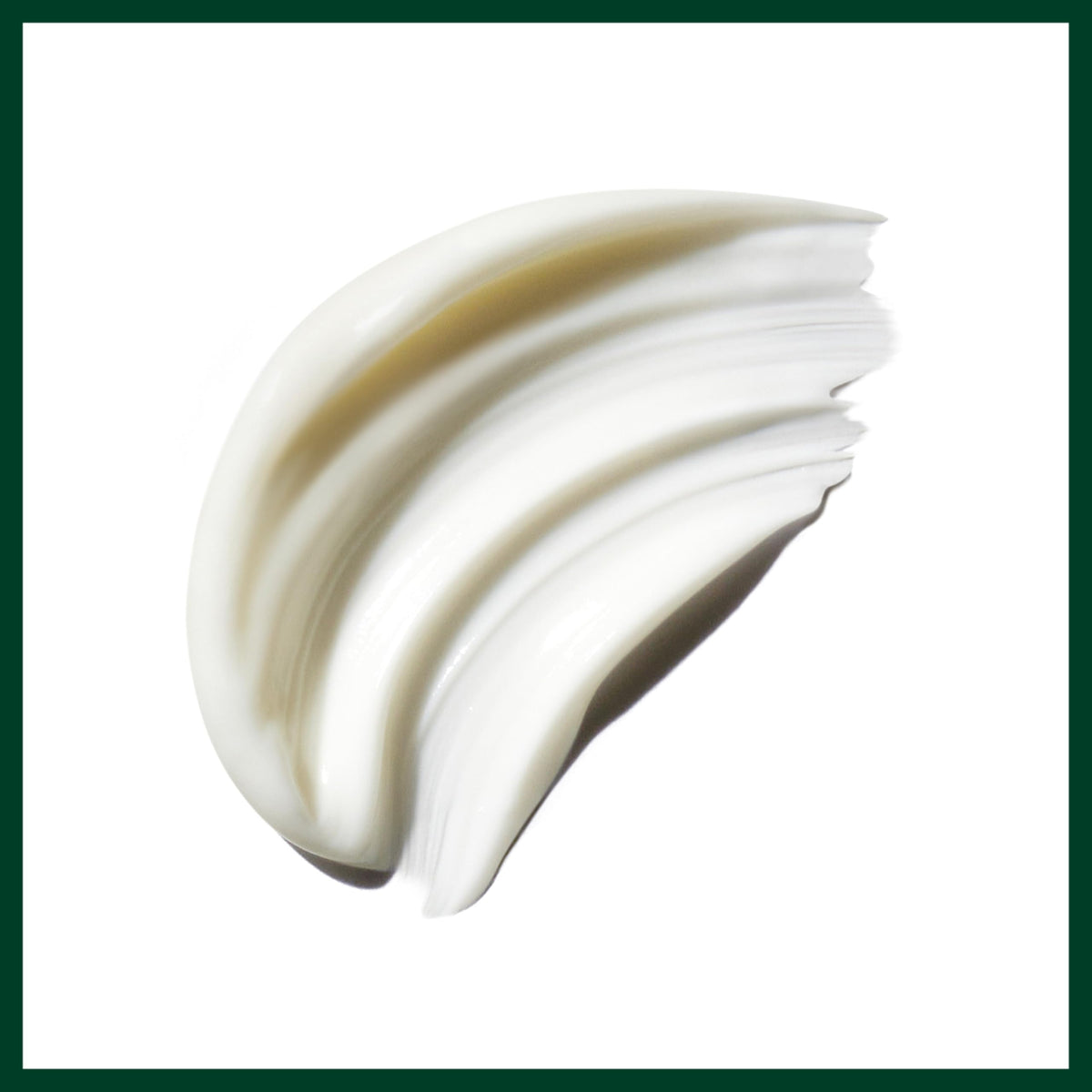 Kokum seed butter ingredient image linked to Aveda Be Curly nourishment