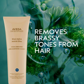 Aveda Blue Malva conditioner texture pour close-up, demonstrates creamy consistency