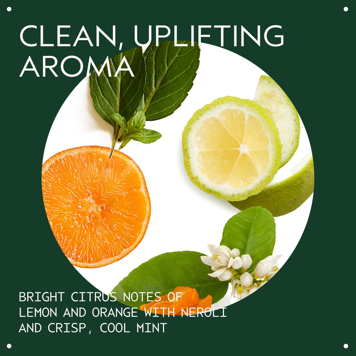 Aveda conditioner cream texture close-up showing lightweight, nourishing formula