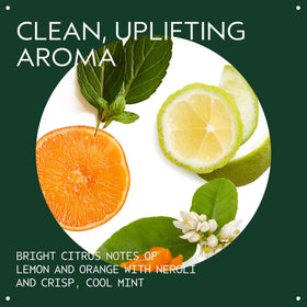 Aveda conditioner cream texture close-up showing lightweight, nourishing formula