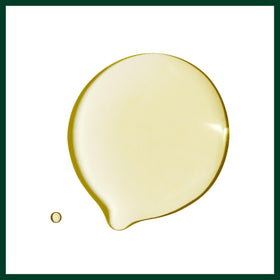 Aveda Dry Remedy applying oil to mid-lengths and ends for smoother hair
