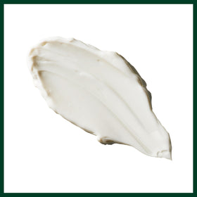 Detailed ingredients label on Aveda jar showing clean formulation