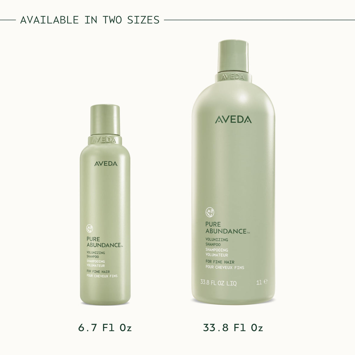 Arrangement of jasmine and ylang-ylang showing Aveda fragrance profile