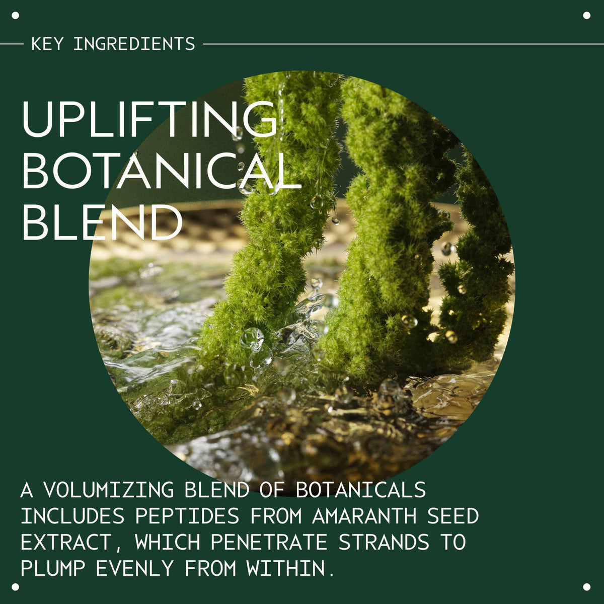 Aveda mist applied to damp hair to detangle and prep for styling