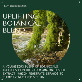 Aveda mist applied to damp hair to detangle and prep for styling
