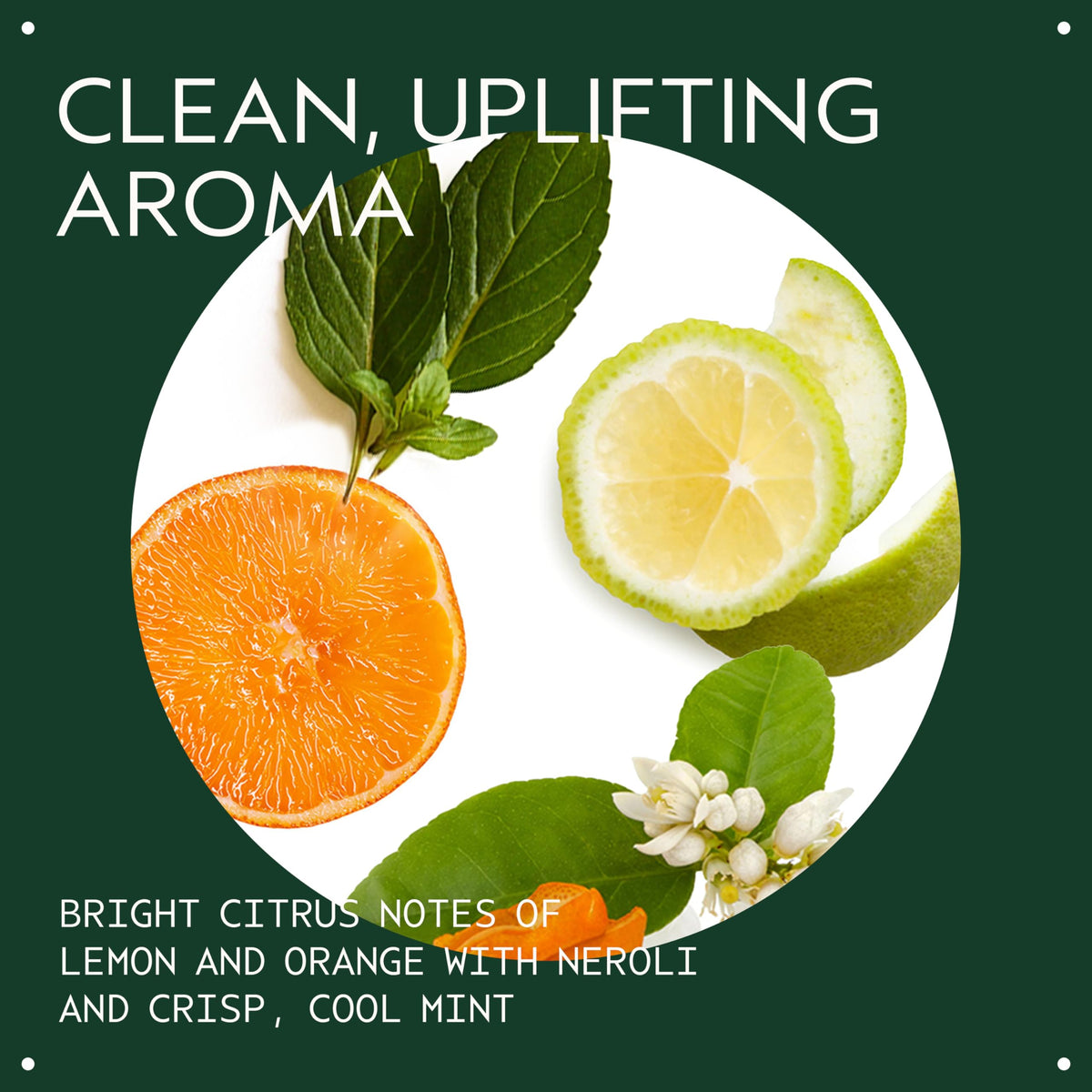 Aveda shampoo foam texture closeup demonstrating gentle lather and effective cleanse