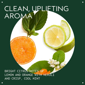 Aveda shampoo foam texture closeup demonstrating gentle lather and effective cleanse