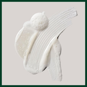 Aveda Shampure label detail highlighting plant-based ingredient benefits