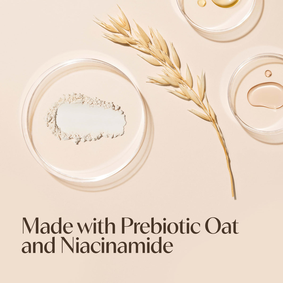 Aveeno bottle beside oats and niacinamide illustrating key ingredients