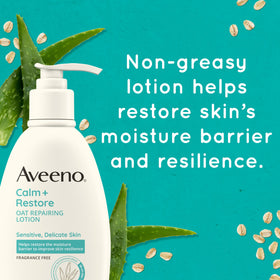 Oat and aloe ingredients styled together showing Aveeno calming benefits