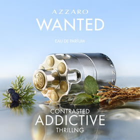 Azzaro juniper berries and sage close-up showing fresh aromatic notes