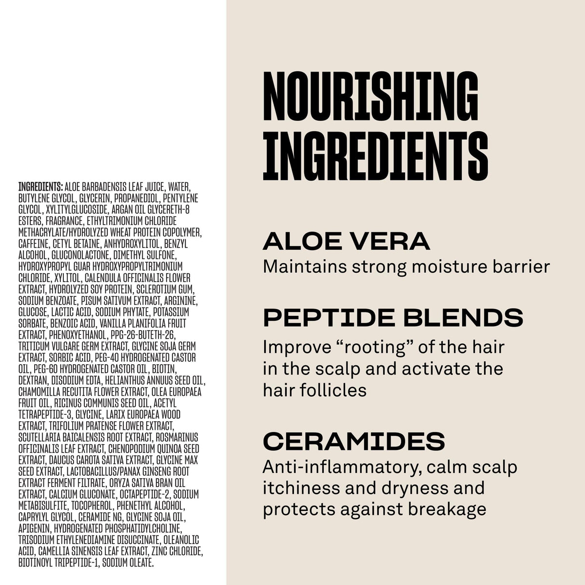 BABE ORIGINAL ingredients flatlay with peptides and biotin emphasizing nourishment benefit
