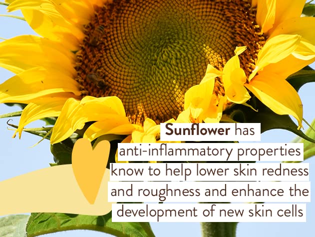 Babo Botanicals zinc oxide powder visual representing mineral sun protection benefit