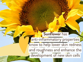 Babo Botanicals zinc oxide powder visual representing mineral sun protection benefit