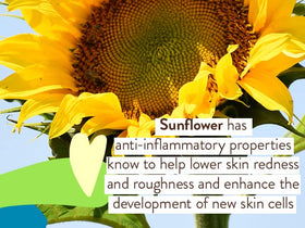 Babo Botanicals close-up of lightweight spray texture for fast absorption