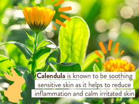 Babo Botanicals display of calendula and oats, soothing ingredient benefit