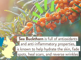 Babo Botanicals ingredients label close-up highlighting plant-based benefits
