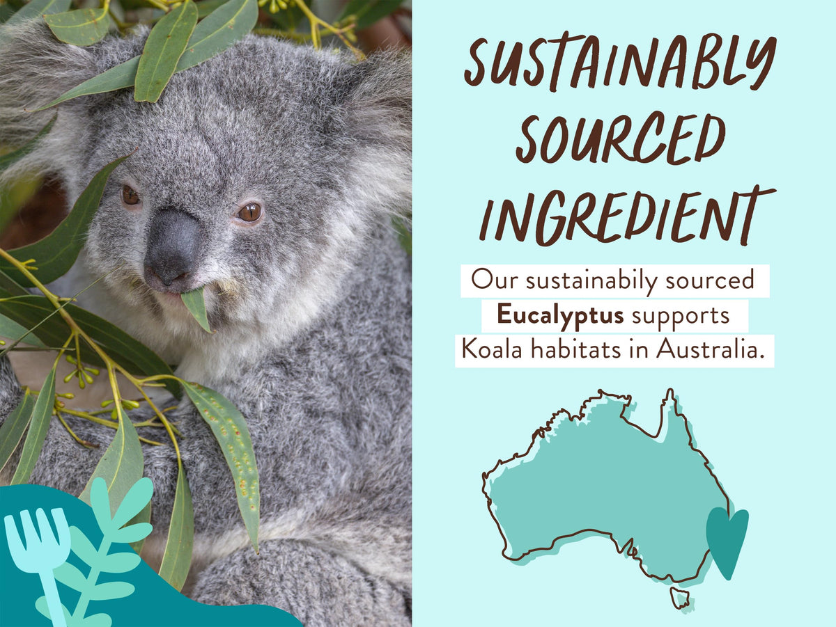 Babo Botanicals label close-up highlighting eucalyptus, rosemary, peppermint