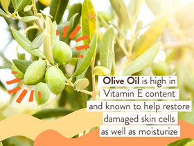Babo Botanicals ingredients close-up with shea butter and manuka oil benefits