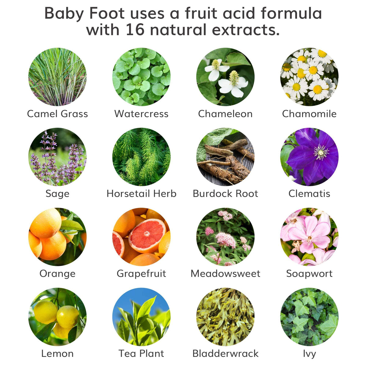 Baby Foot bottle label detail showing active acids for effective exfoliation