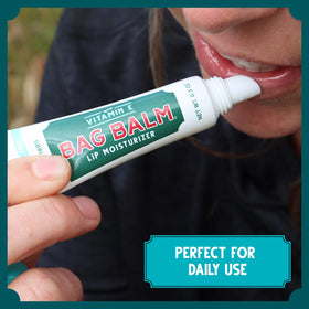 Bag Balm four tubes arranged to show pack quantity and value