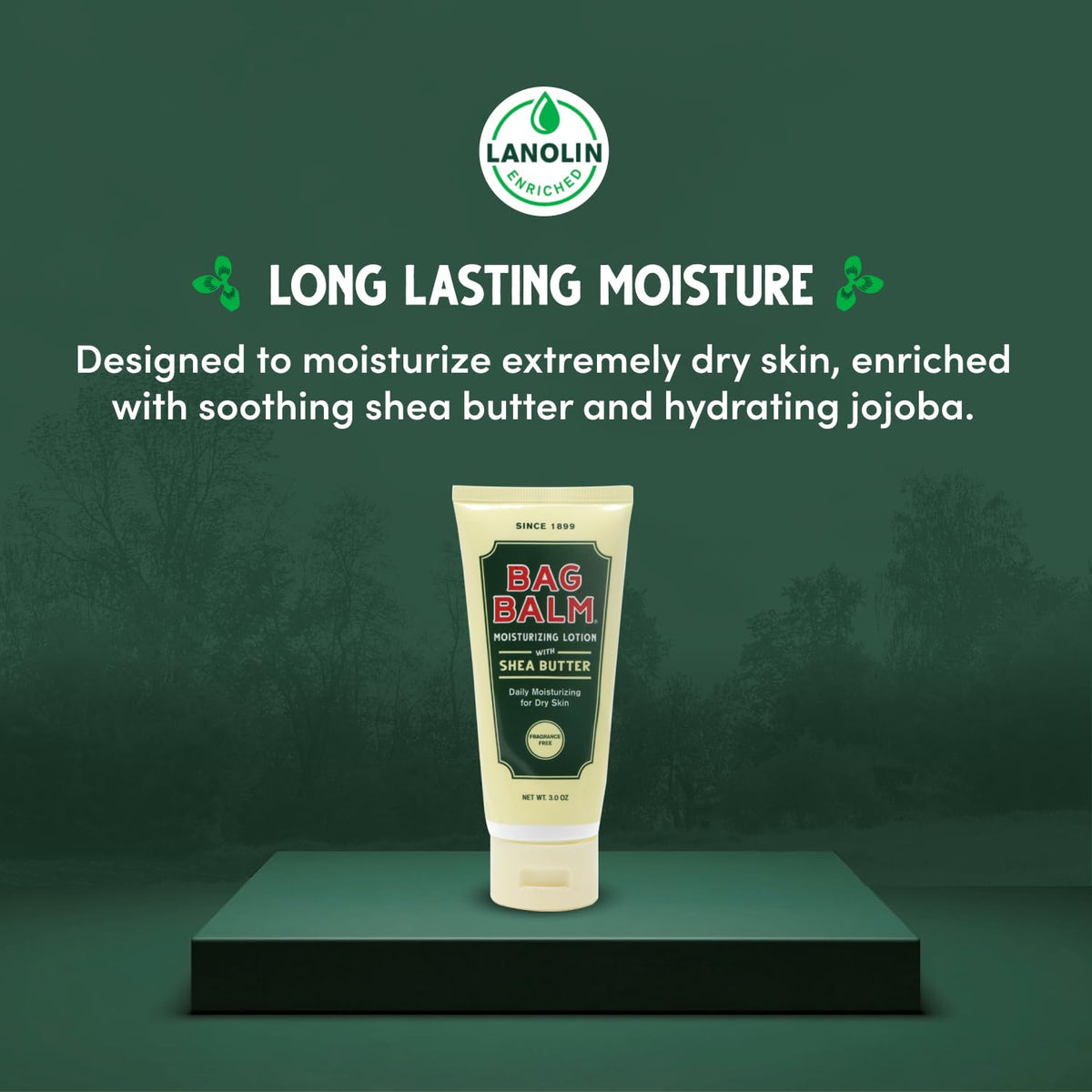 Bag Balm tube inside a tote bag emphasizing portability benefit