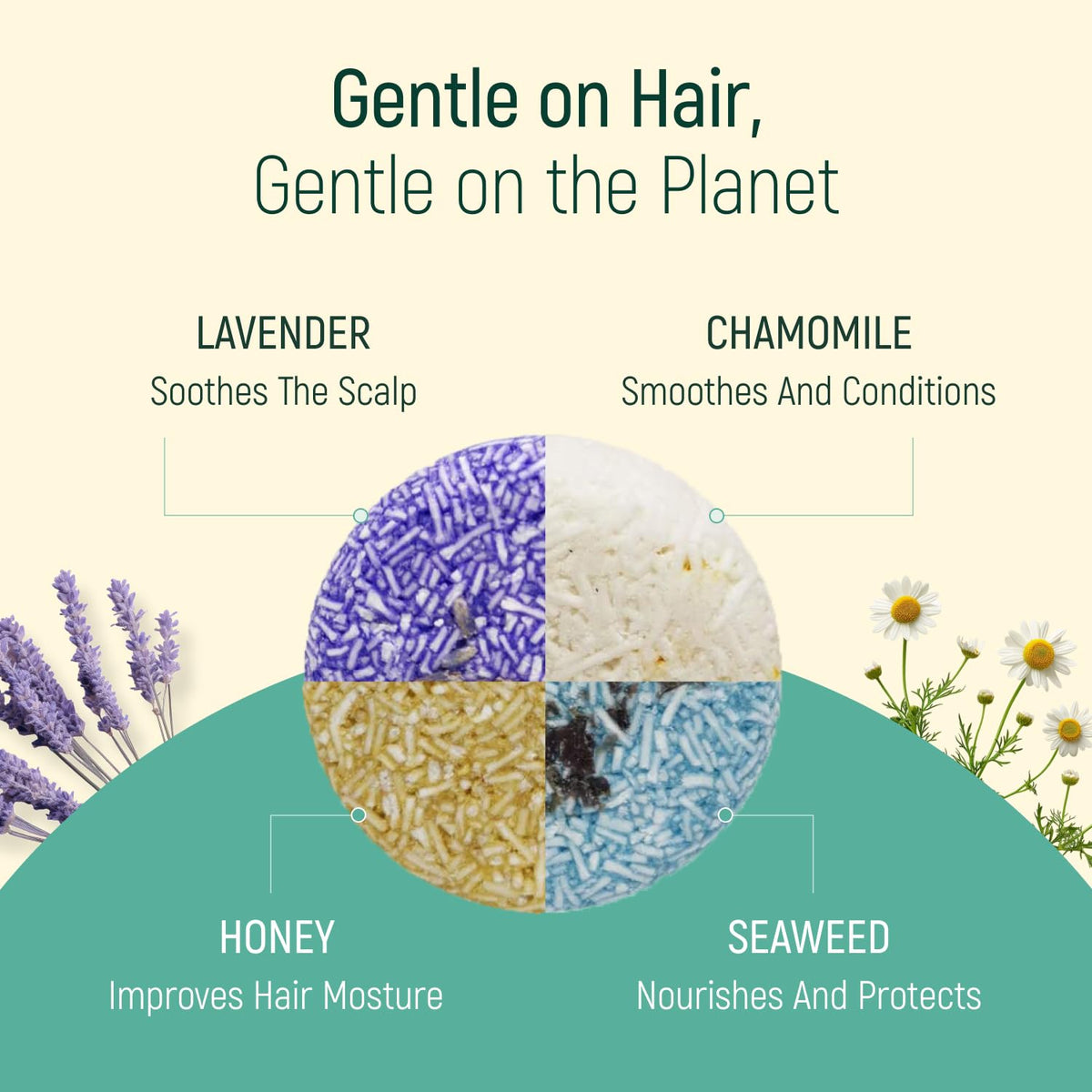 BAMBOEARTH solid shampoo bar in travel kit illustrating carry‑on friendly benefit