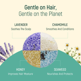 BAMBOEARTH solid shampoo bar in travel kit illustrating carry‑on friendly benefit