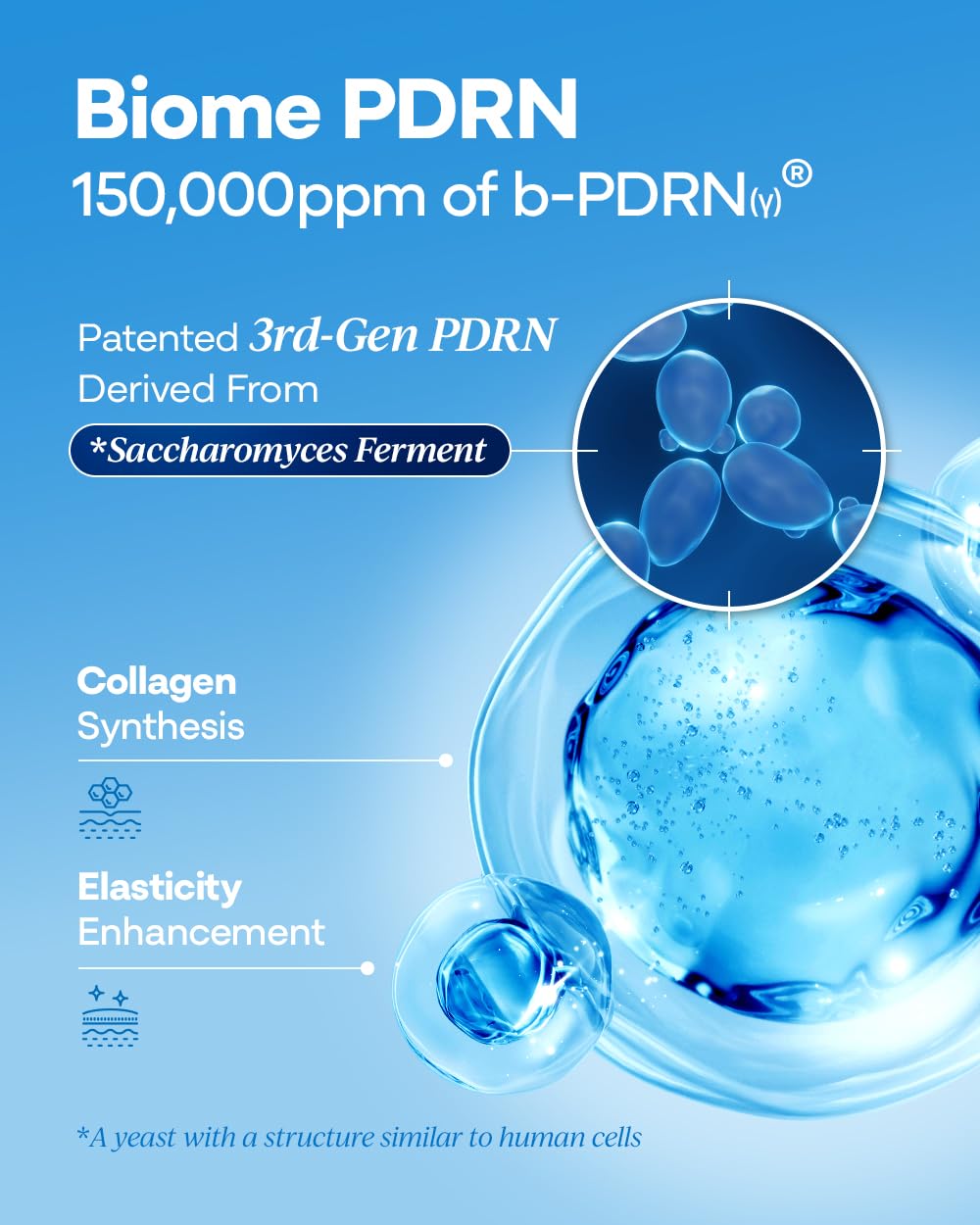 Bano bottle and label highlighting BIOME PDRN and vegan sourcing