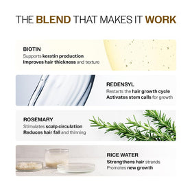 Bare Anatomy applying a few drops to scalp demonstrates easy targeted use