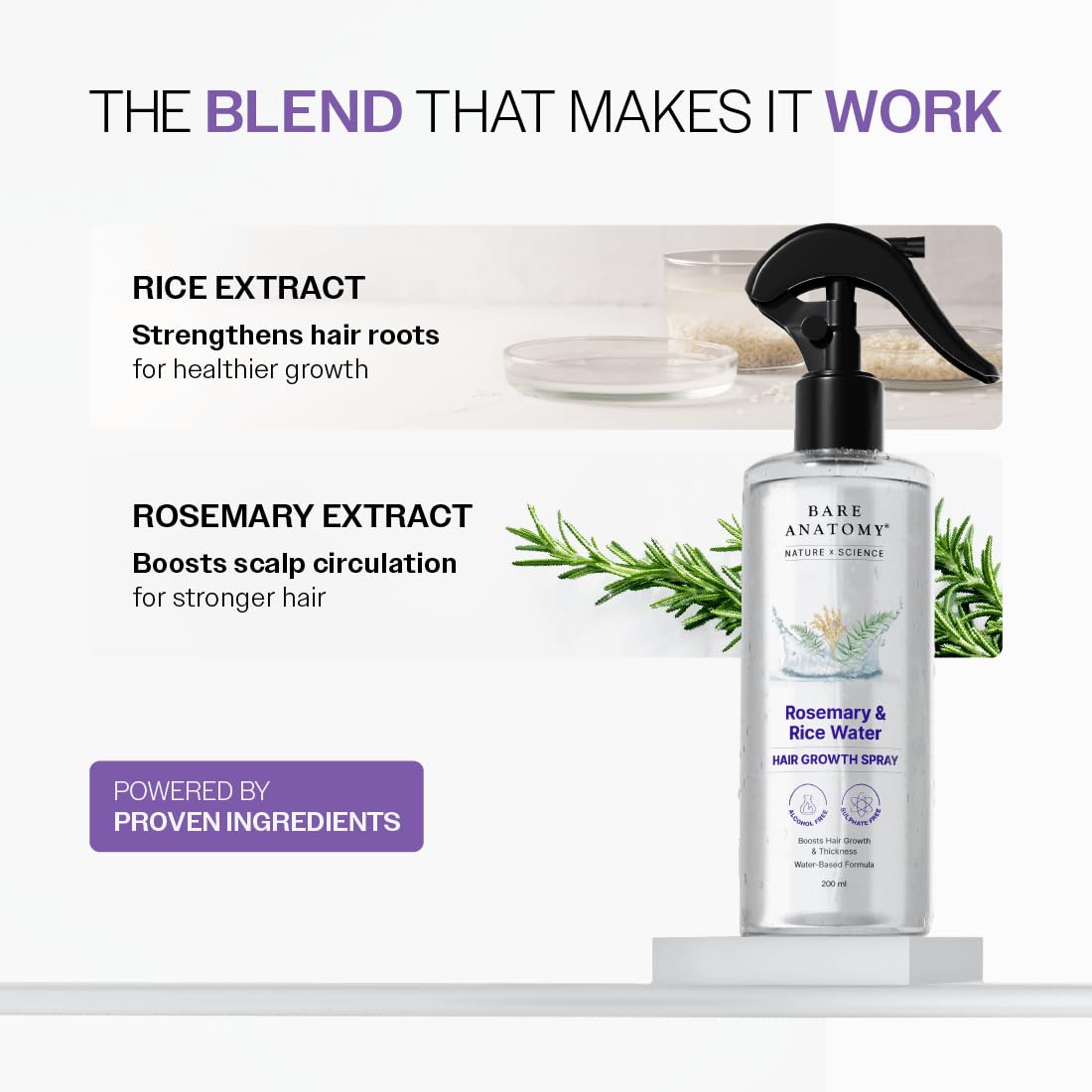 Bare Anatomy spray applied to scalp for nourishing root care