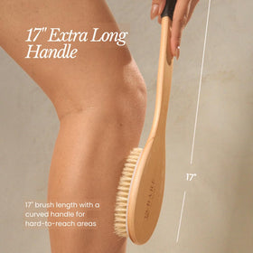 Bare Botanics side profile of curved handle showing ergonomic design for comfortable strokes