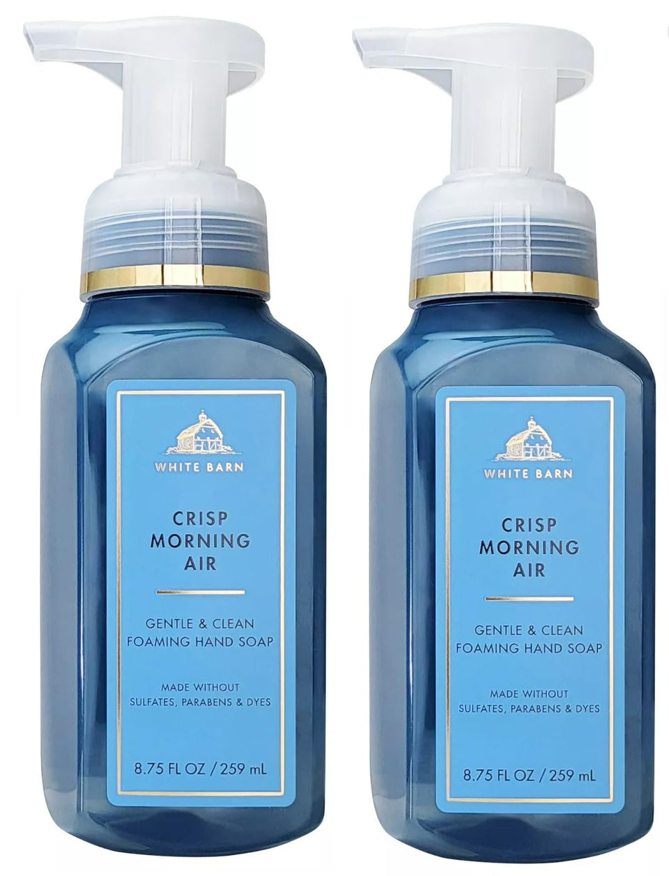 Bath & Body Works two-pack front packaging showing bottles and scent label benefits