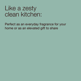 Bath & Body Works in-use at kitchen sink showing effective everyday cleansing