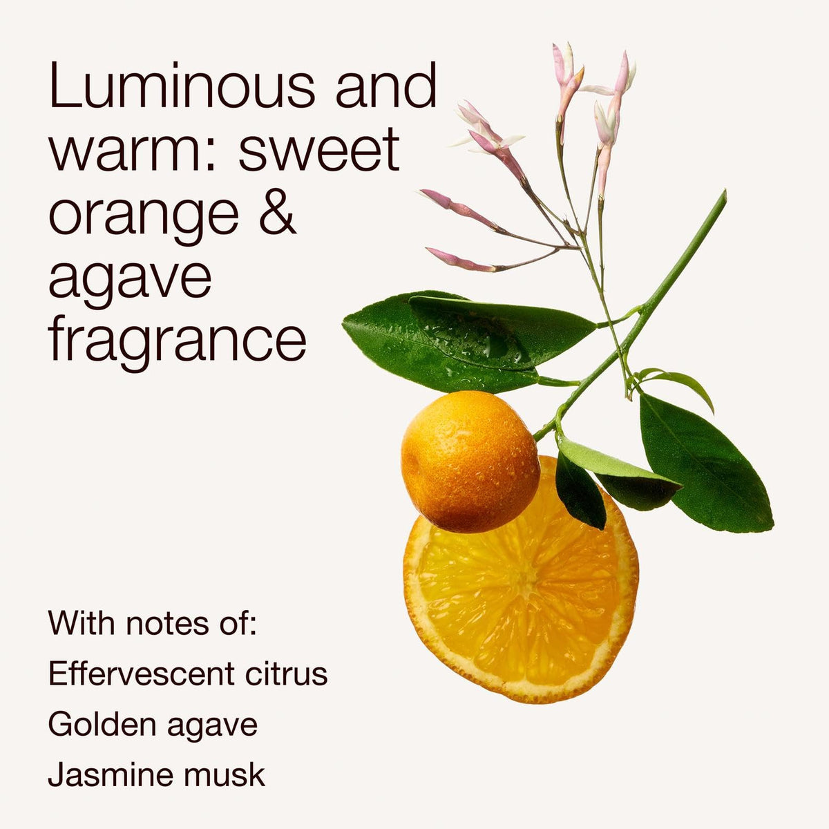 Bath & Body Works label close-up highlighting ingredient and dermatologist review