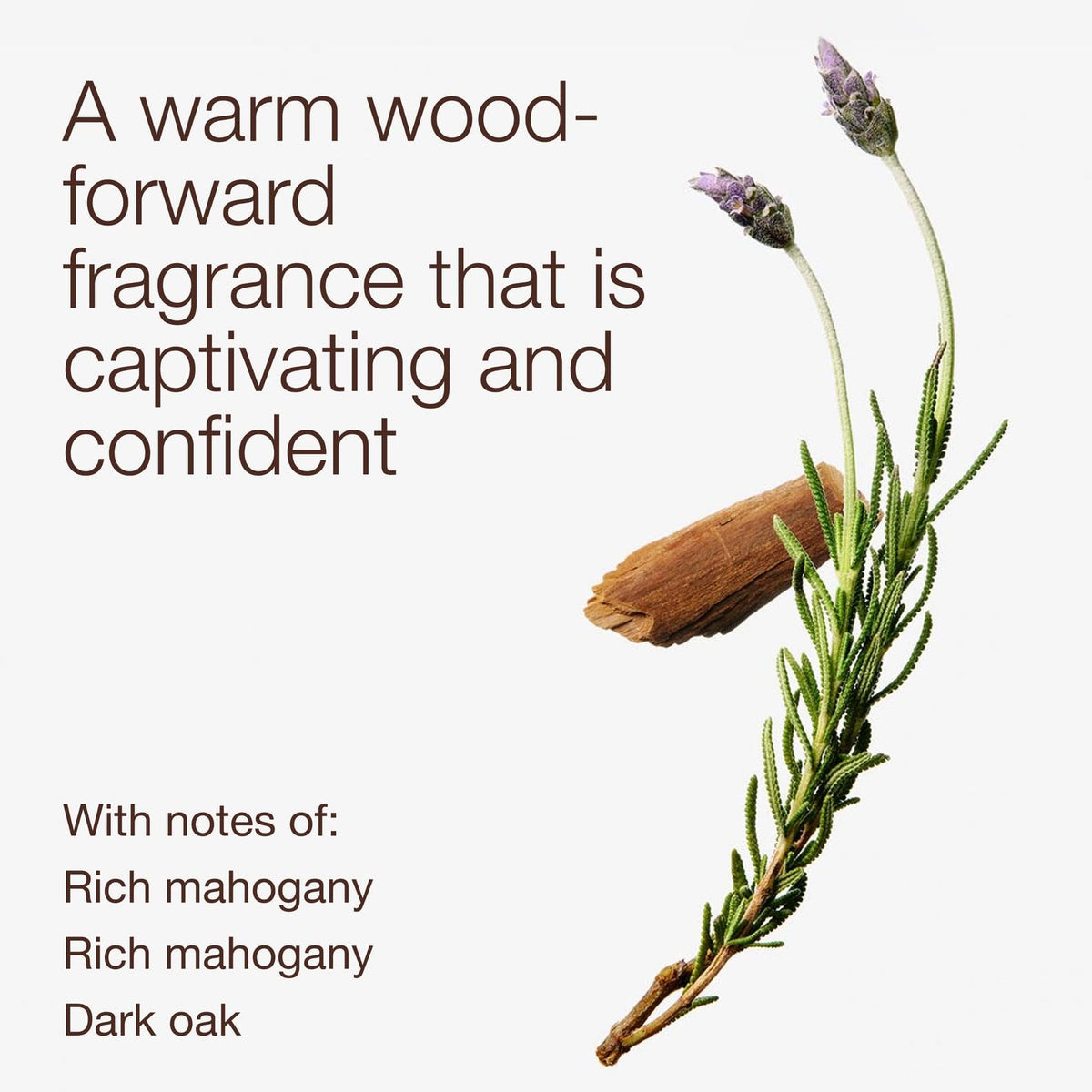 Bath & Body Works close-up label highlighting fragrance notes and nourishing formula