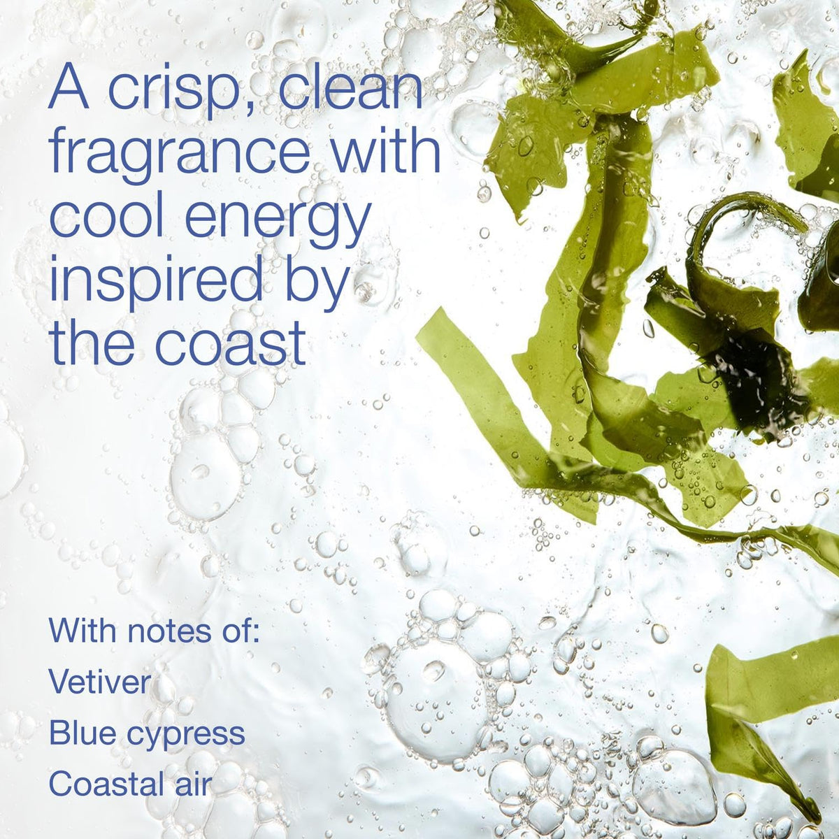 Bath & Body Works lather texture closeup demonstrating rich foam cleansing benefit