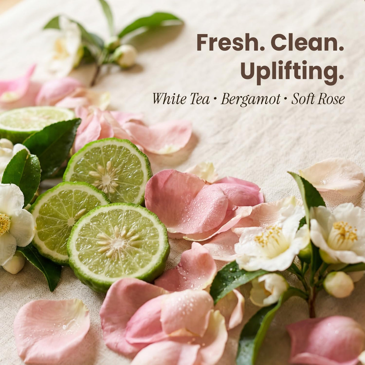 Beauty by Earth deodorant on bathroom shelf in bright setting promoting daily routine ease