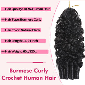 Beauty Queen model wearing natural black curls showing voluminous finish