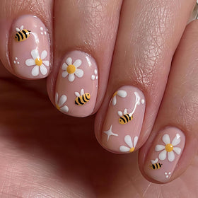 Bee Daisy front packaging showing full 24-piece kit and accessories for convenience