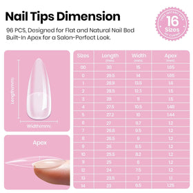 beetles close-up of thin cuticle edge showing seamless fit and natural finish