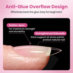 Beetles thin back edge and PMMA texture showing seamless adhesion benefit