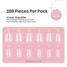 Beetles numbered sizes 0–11 displayed for easy size matching and organization benefit